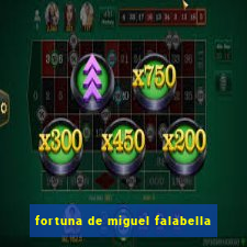 fortuna de miguel falabella